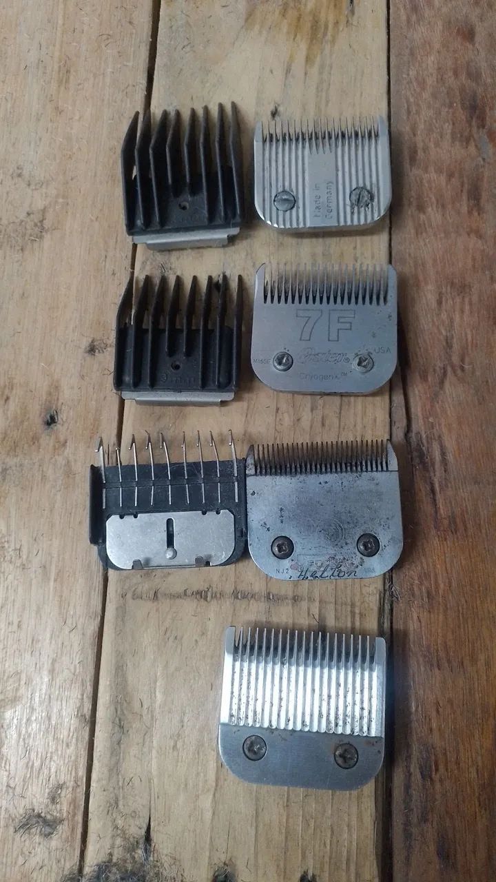 Maquina, secador Lâminas de banho e tosa para Cães