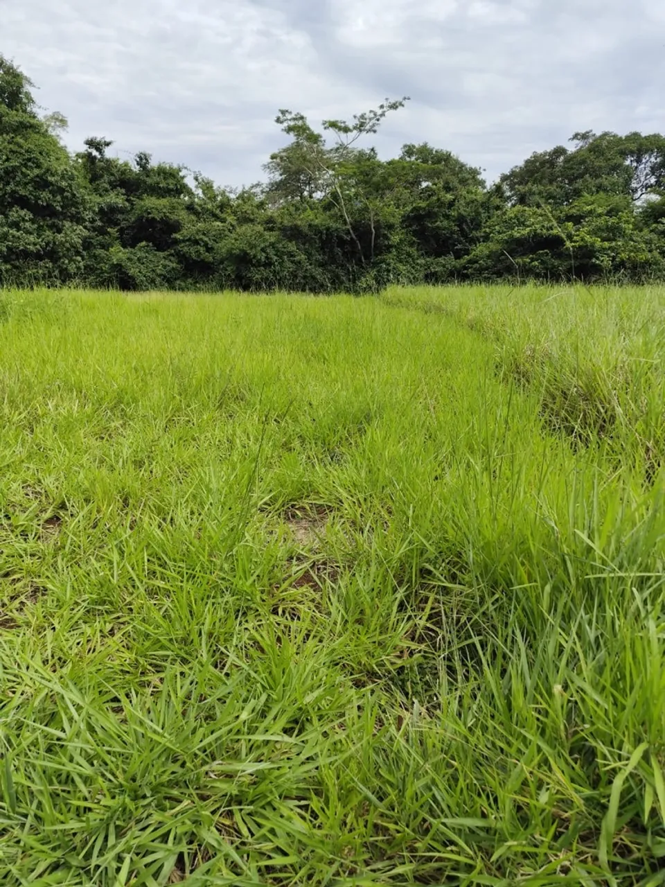 Terreno CAMISÃO - Aquidauana