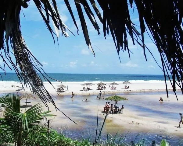 Granja próxima a Praia Bela, Jacumã e Tambaba - TEMPORADA ou CONTRATO - Foto 8