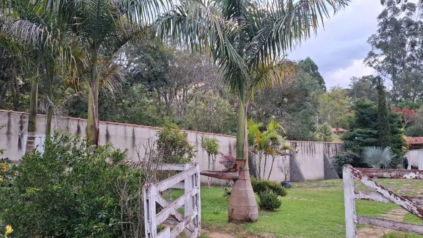 Espetacular Chácara com 12.000m², na Belíssima Mantiqueira, Riquíssima em Água Delfim More - Foto 3