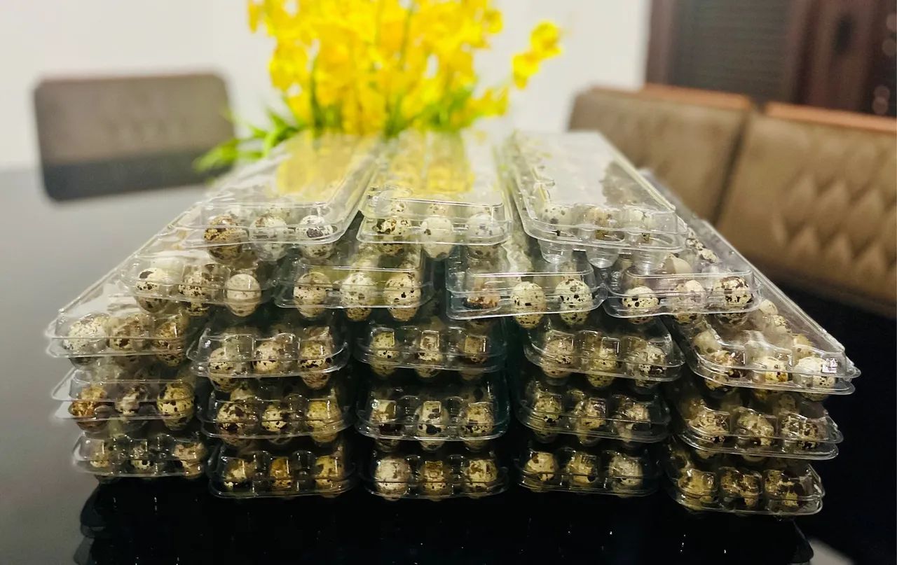 Ovos de codorna frescos - Foto 3