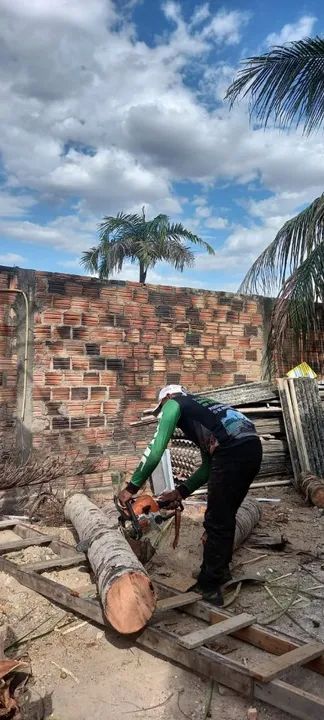 Cortes de arvores - Foto 6