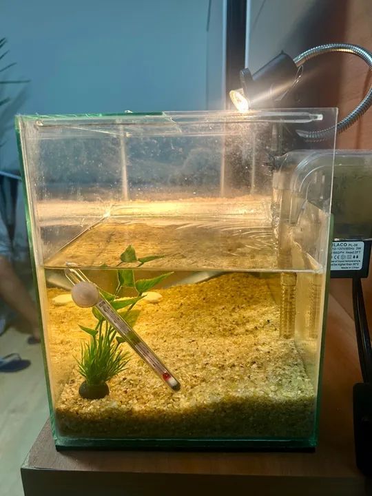 AQUATERRÁRIO PARA TARTARUGA COMPLETO - Foto 4