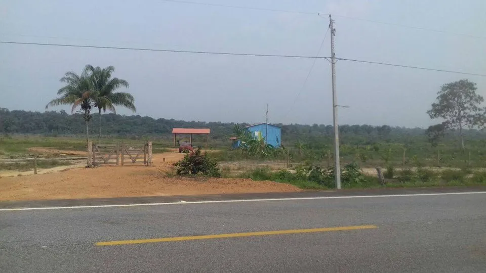 FAZENDA NA BEIRA DA BR-319, 275 HECTARES . Humaitá - AM
