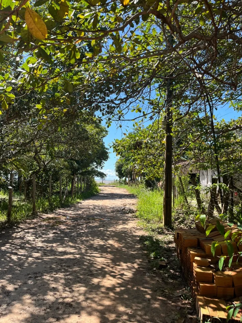 Oportunidade Única de Investimento na Ilha de Cotijuba. Belém-Pará