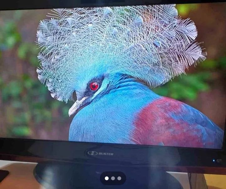 Estou vendendo uma tv da marca Buster 32 polegadas  - Foto 2