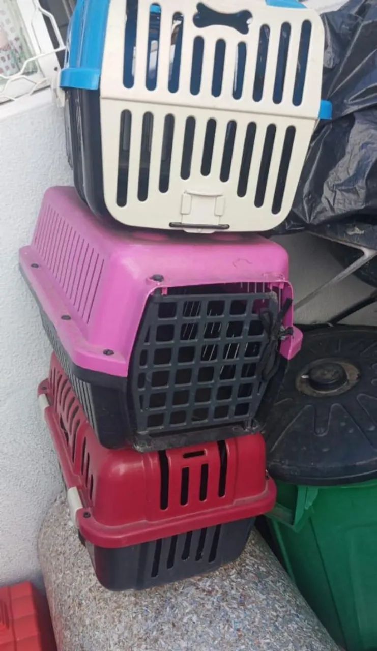 Transporte para pet - Foto 4