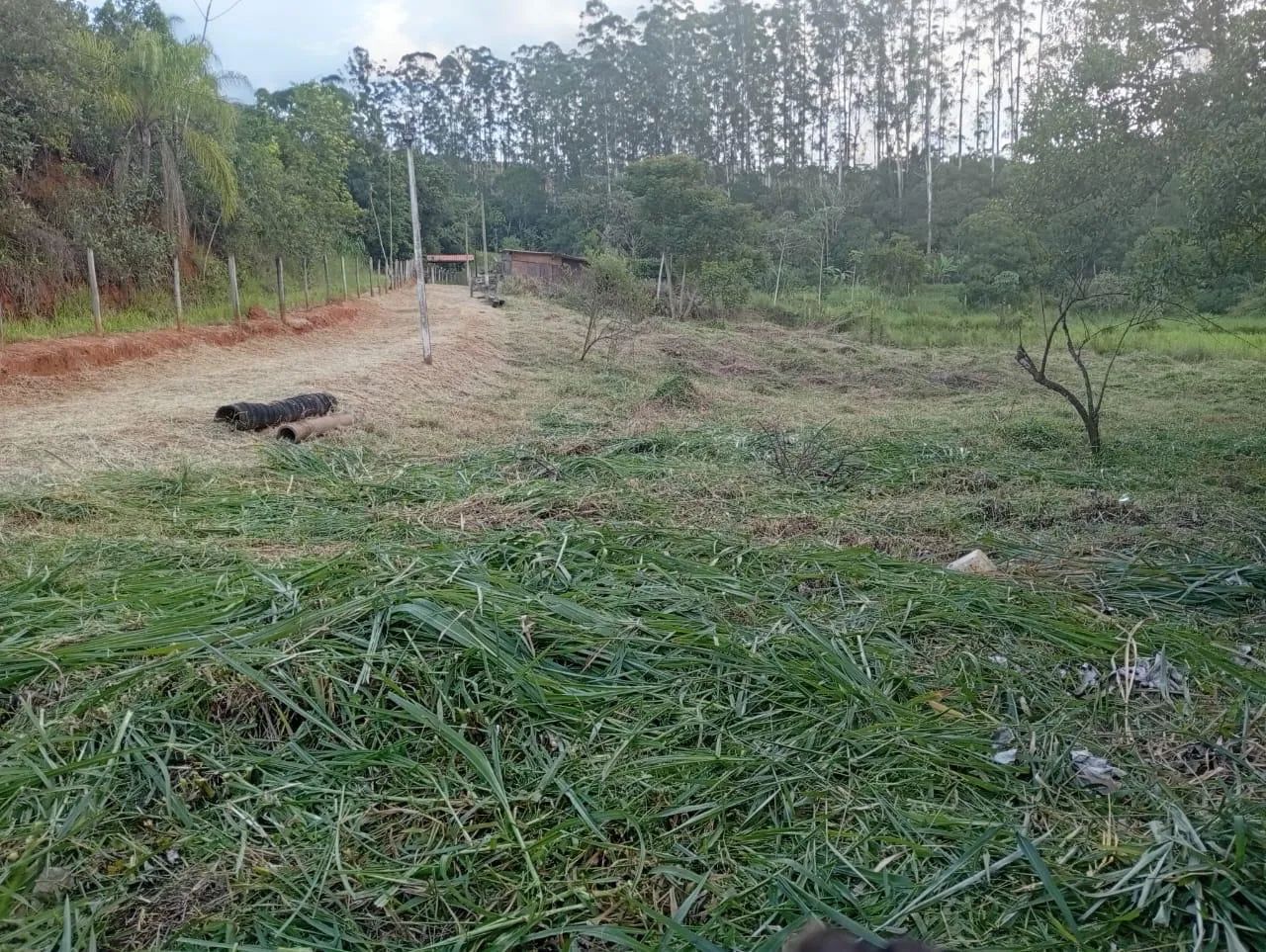 Chácara 2.500 m2 plana - Próxima da cidade - Foto 3