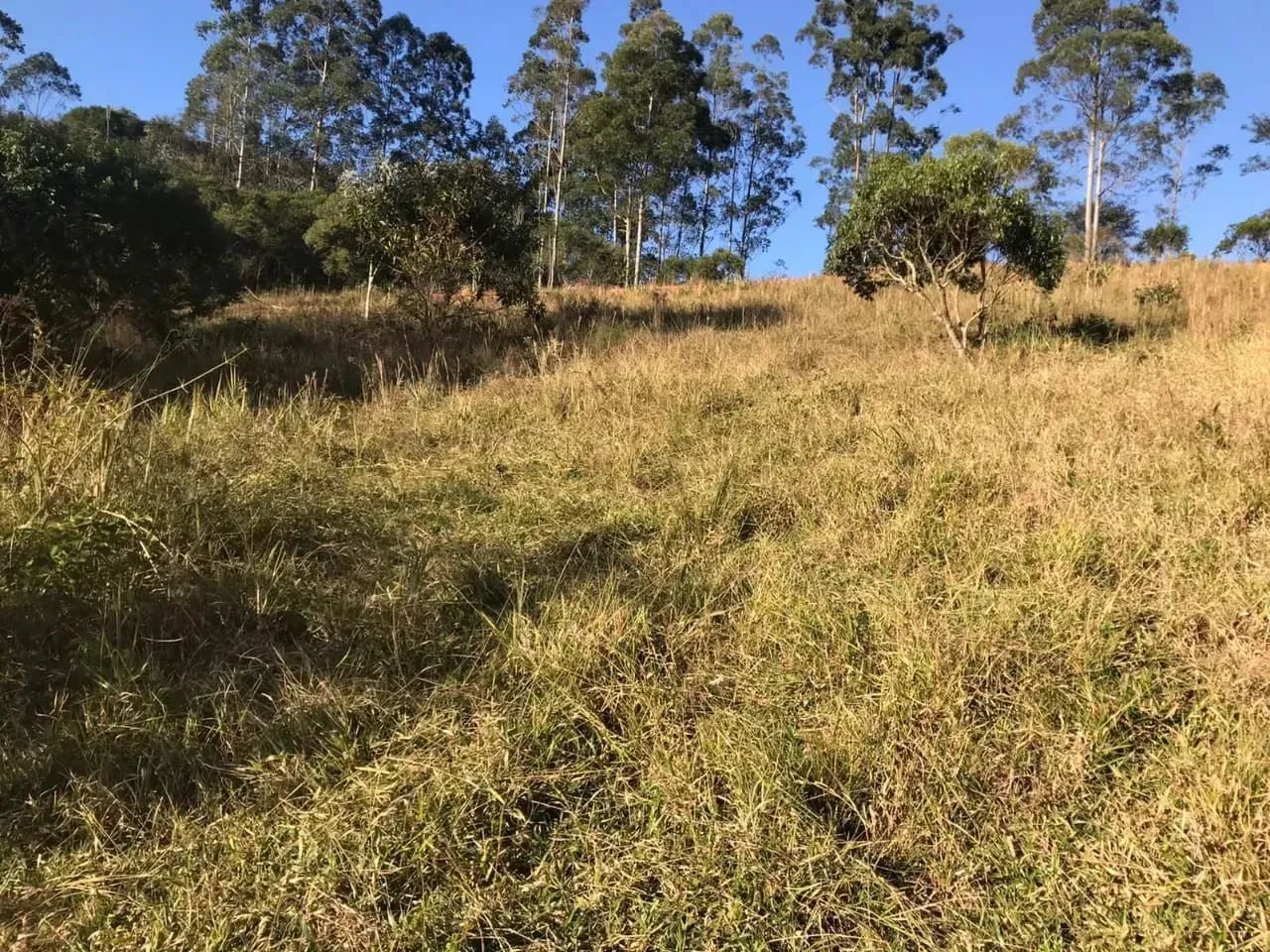 Loteamento em Igaratá direto com o vendedor - Foto 13