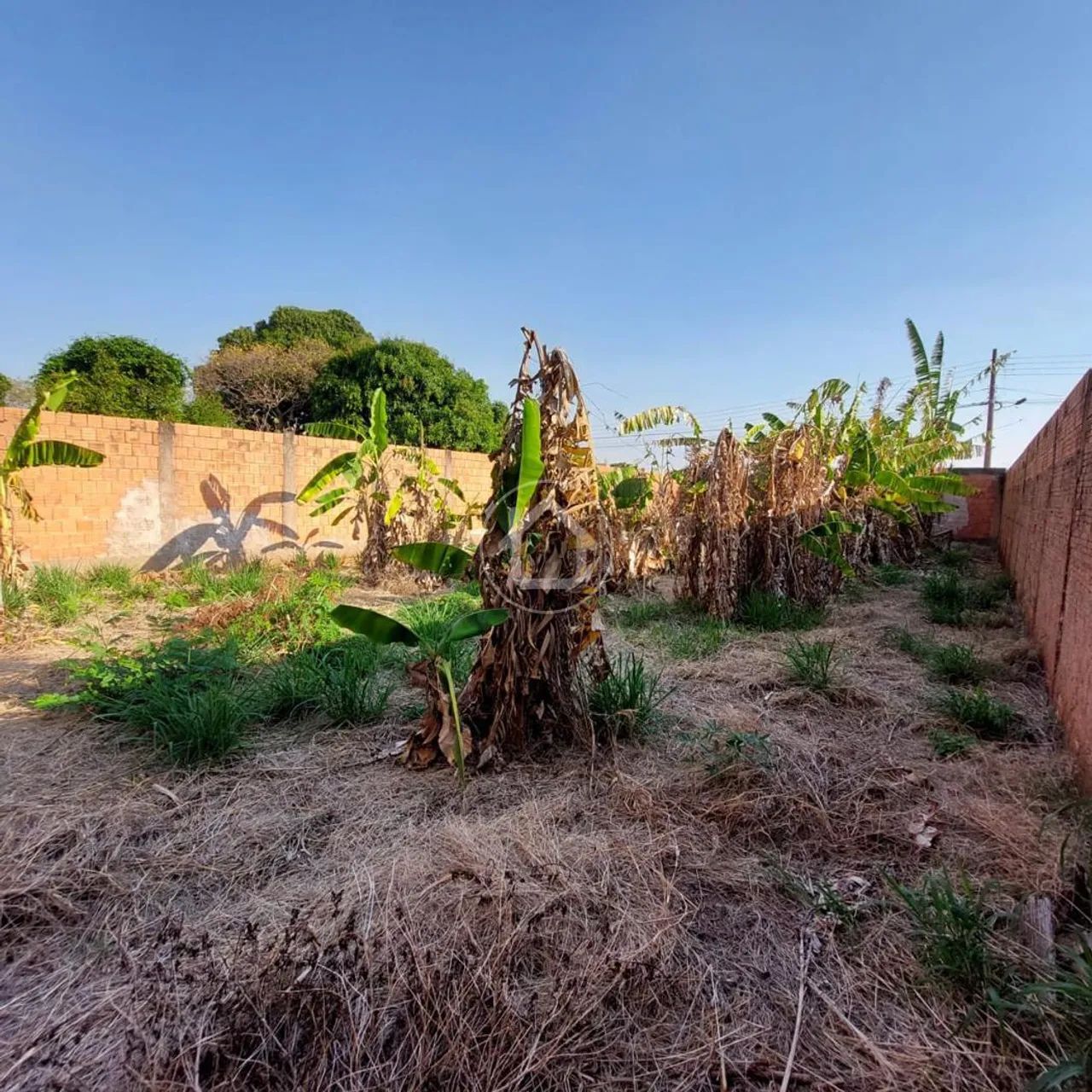 LOTE MURADO 12X30 EM NOVA LIMA - Foto 3