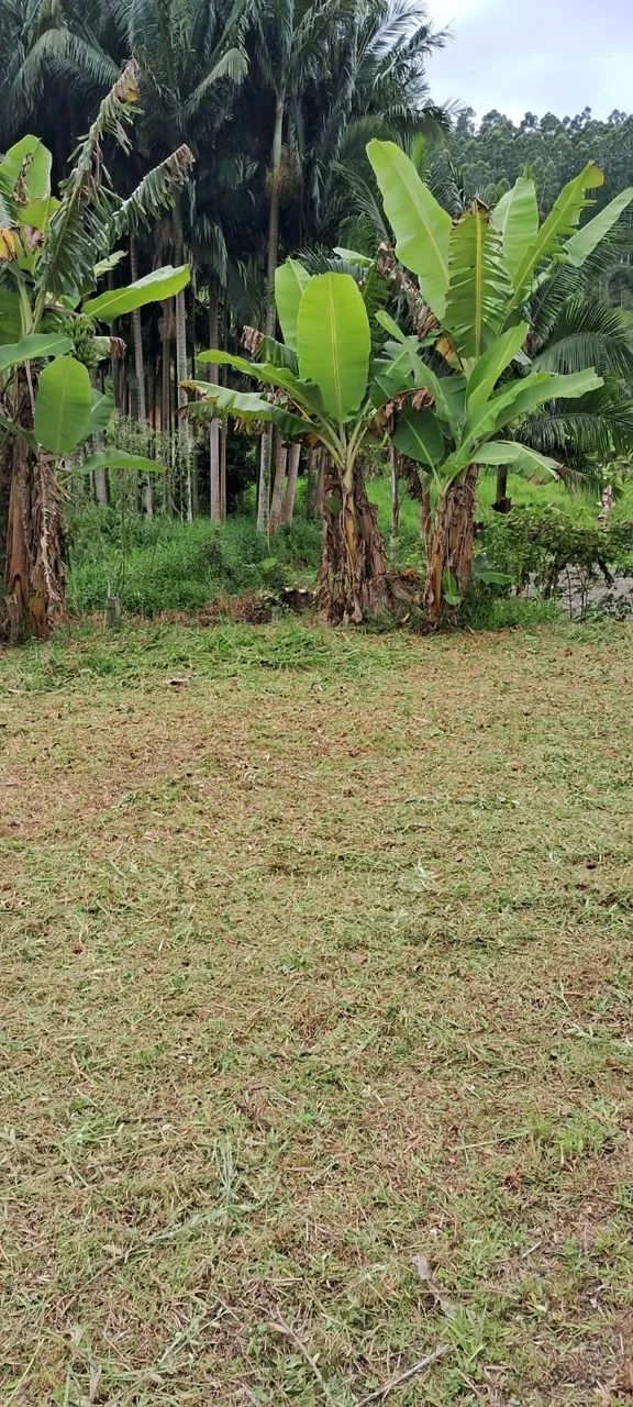 Terreno pra sitio, chácara... - Foto 4