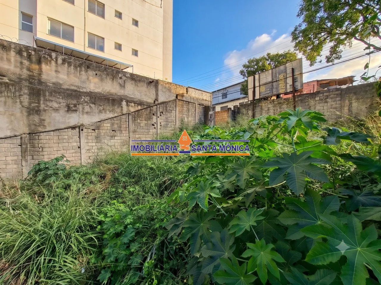 Lote 395m² - São João Batista - Foto 3