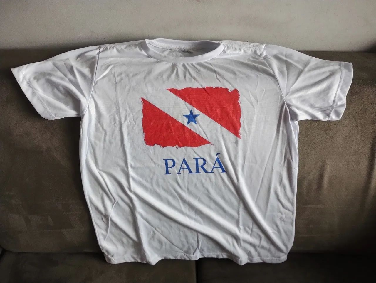 Bandeira e camisa do Pará  - Foto 4