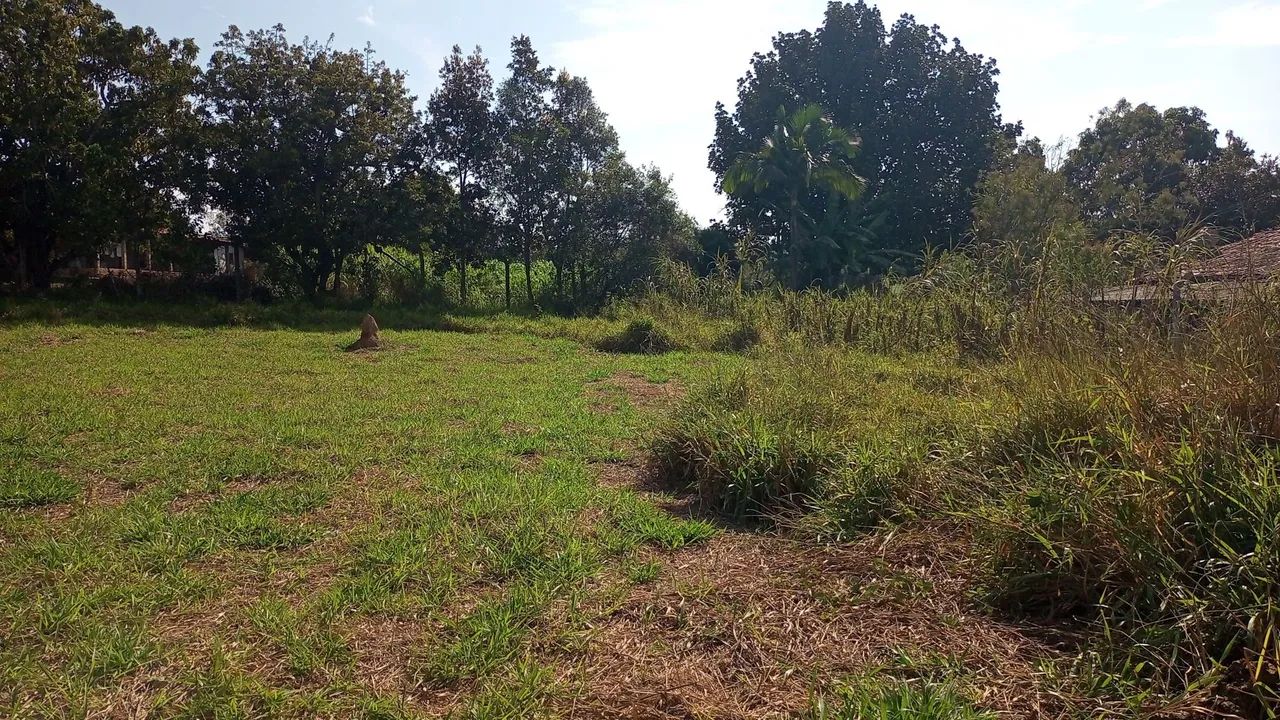 Excelente terreno para chácara  - Foto 4