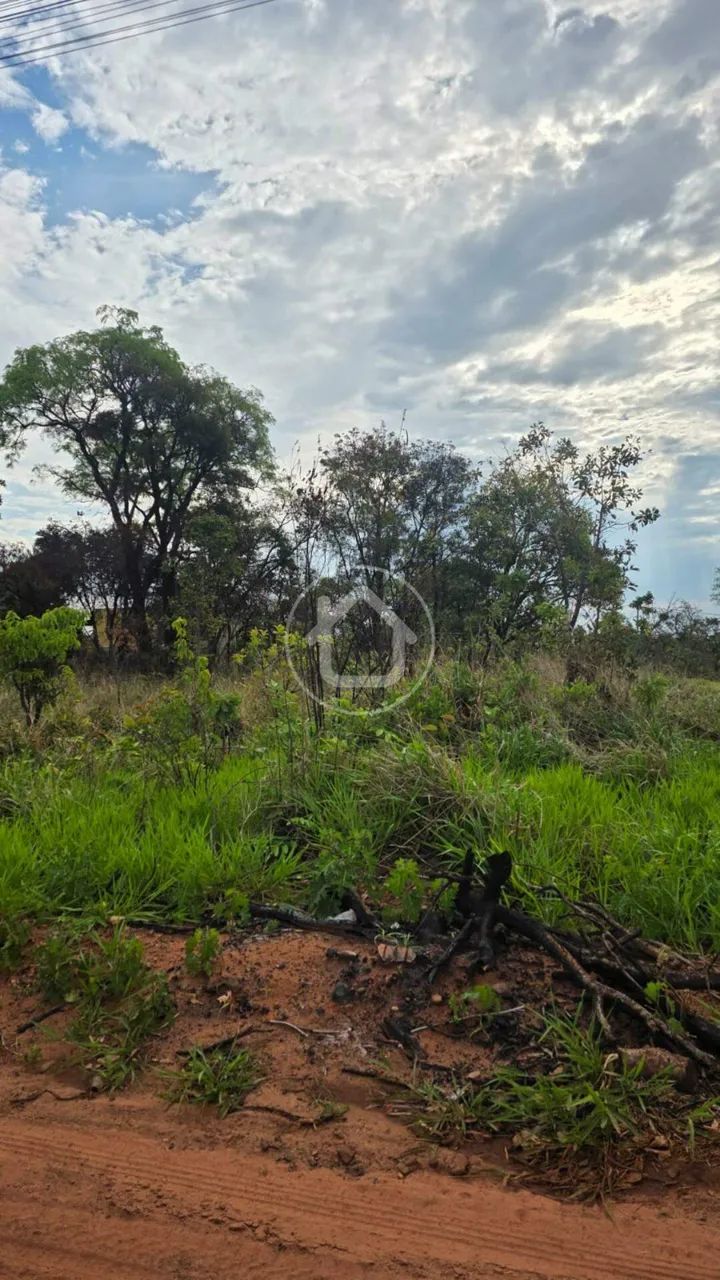 TERRENO - SEM ASFALTO - VIVENDAS DO PARQUE - Foto 3