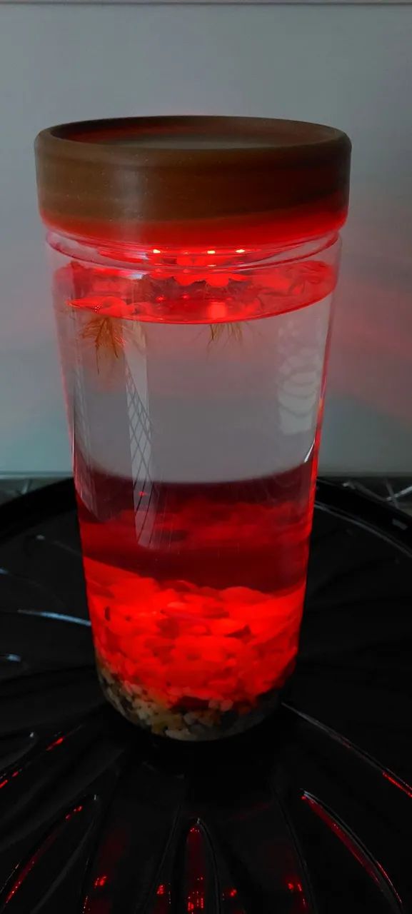 Beteira com Led - Foto 6