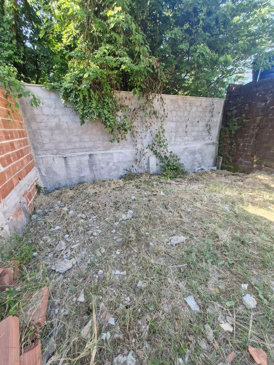 Terreno 8x16 na Cachamorra CG  - Foto 5