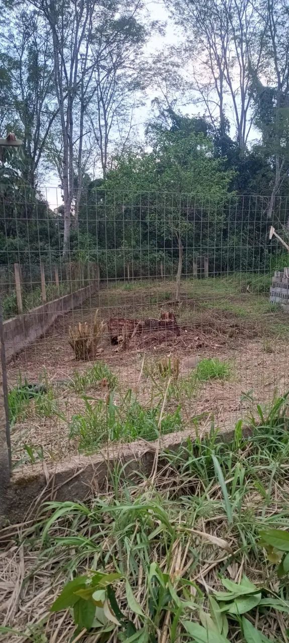 Terreno em Itariri - Foto 2
