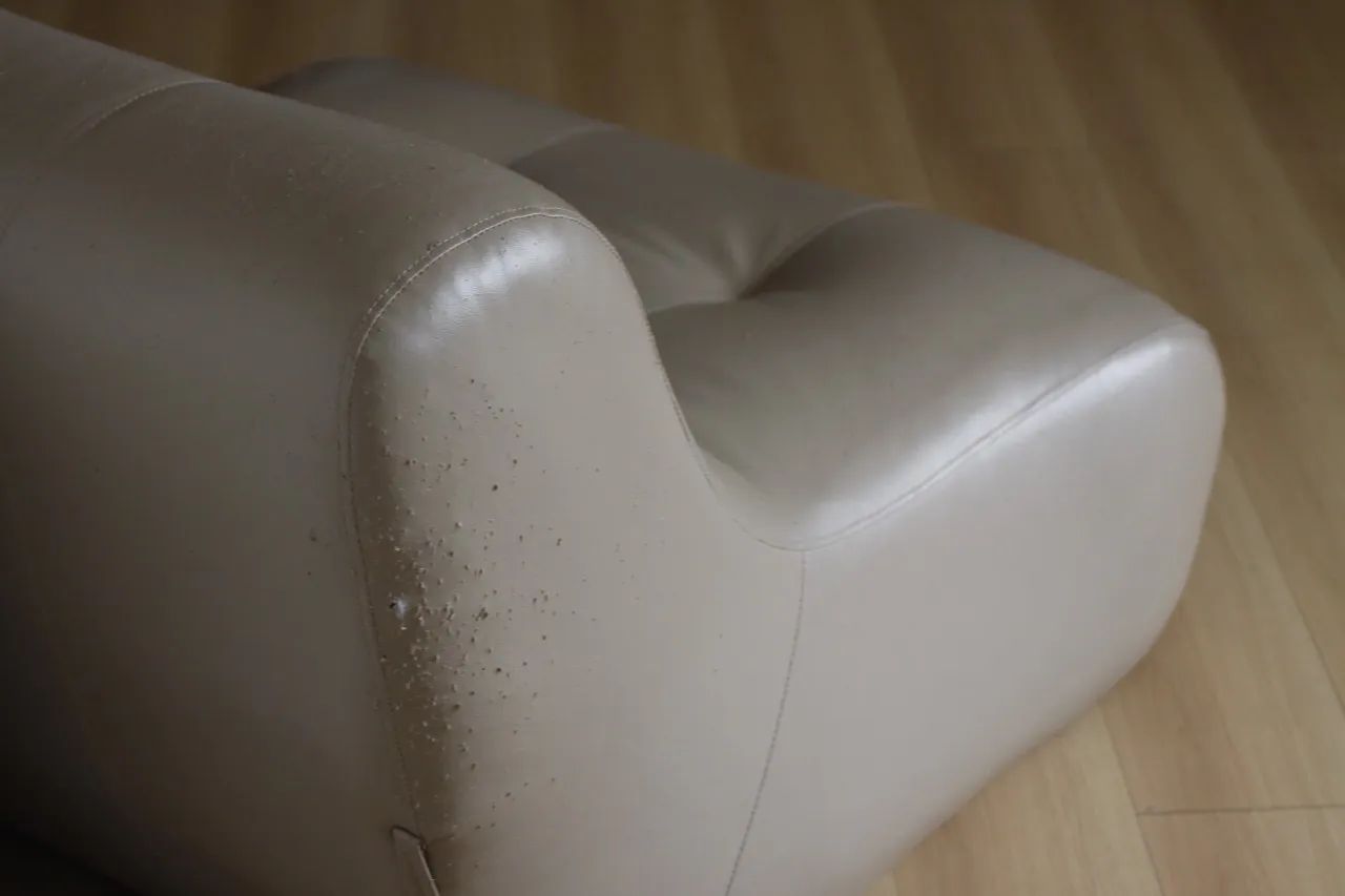 Poltrona courino  - Foto 2