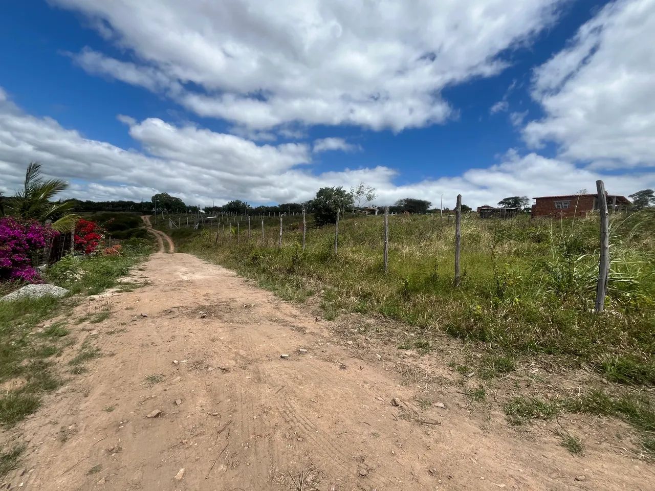 Vendo terreno plano em Lagoa Nova(Bezerros/Pe). - Foto 3