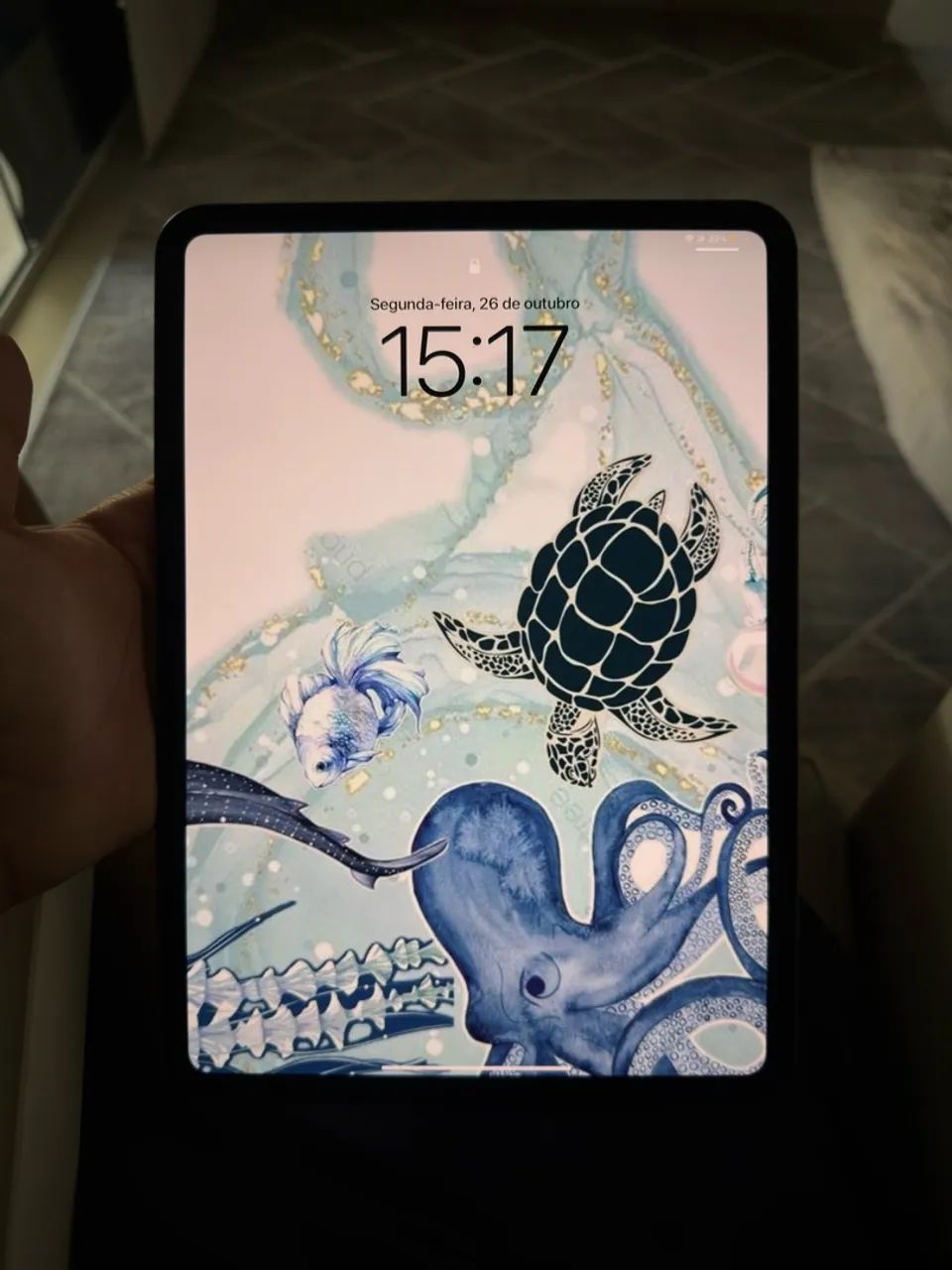 IPAD PRO M4 11 polegadas 