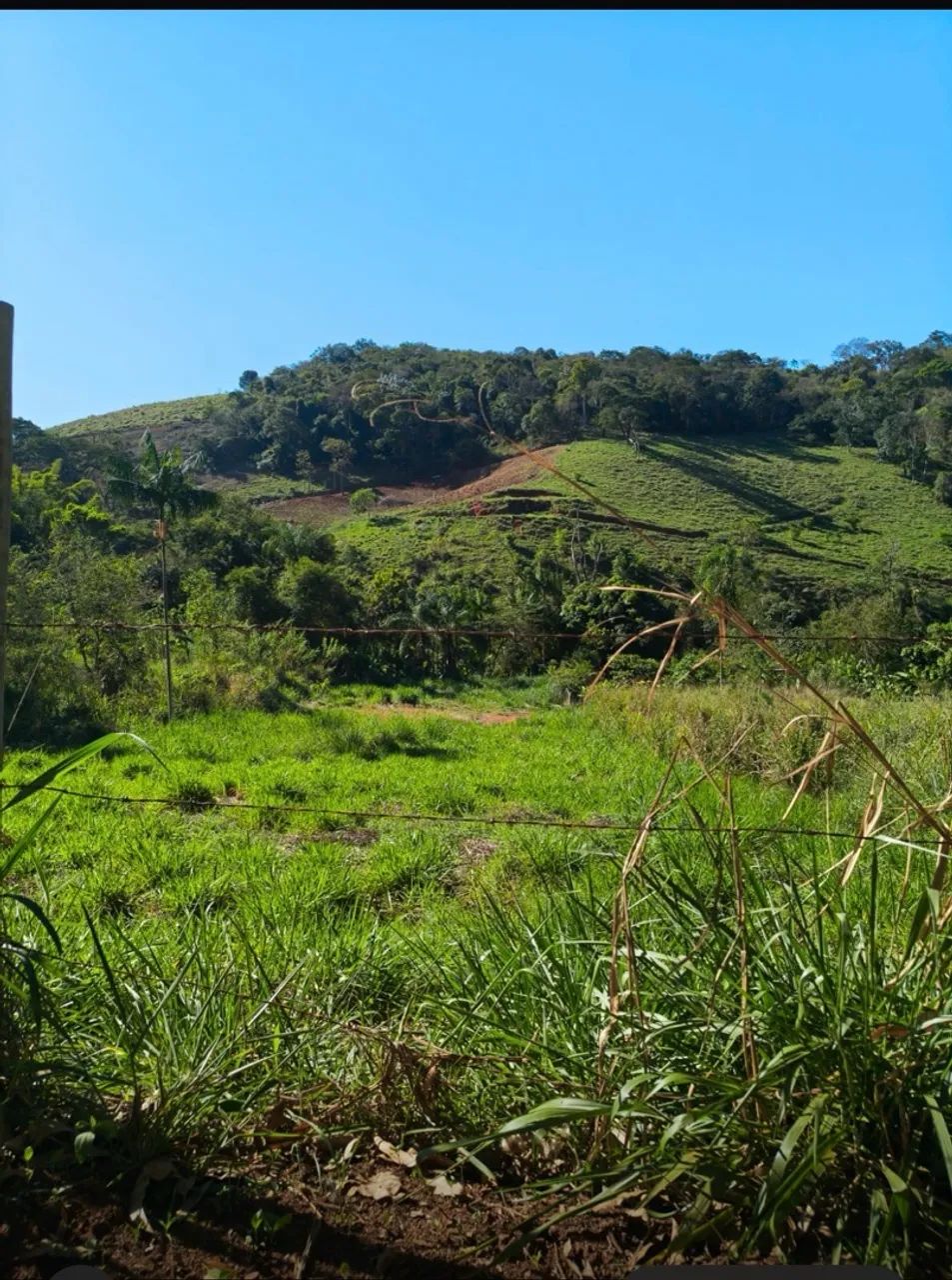 VENDO CHÁCARA EM SÃO CÂNDIDO  - Foto 4
