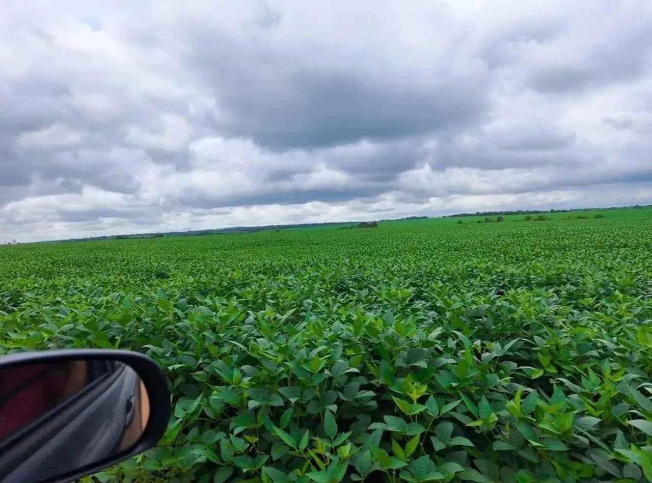 Fazenda a venda, em Santa Rita do Tocantins - Foto 5