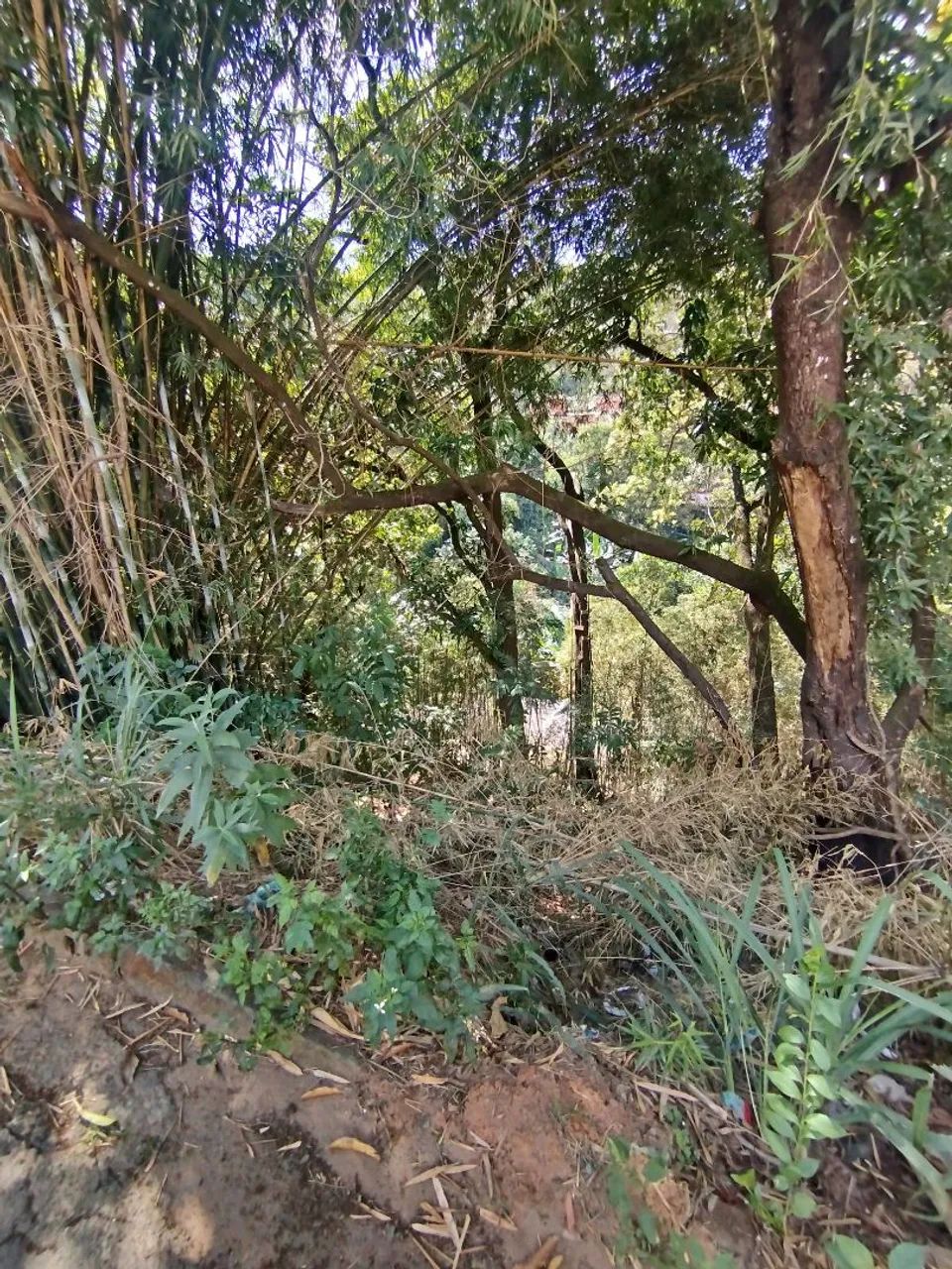 Vendo Terreno no Belmonte  - Foto 4