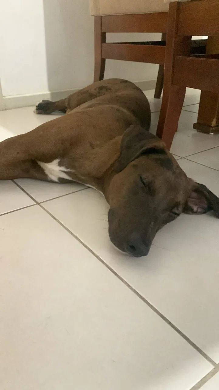 Doação  - Foto 2