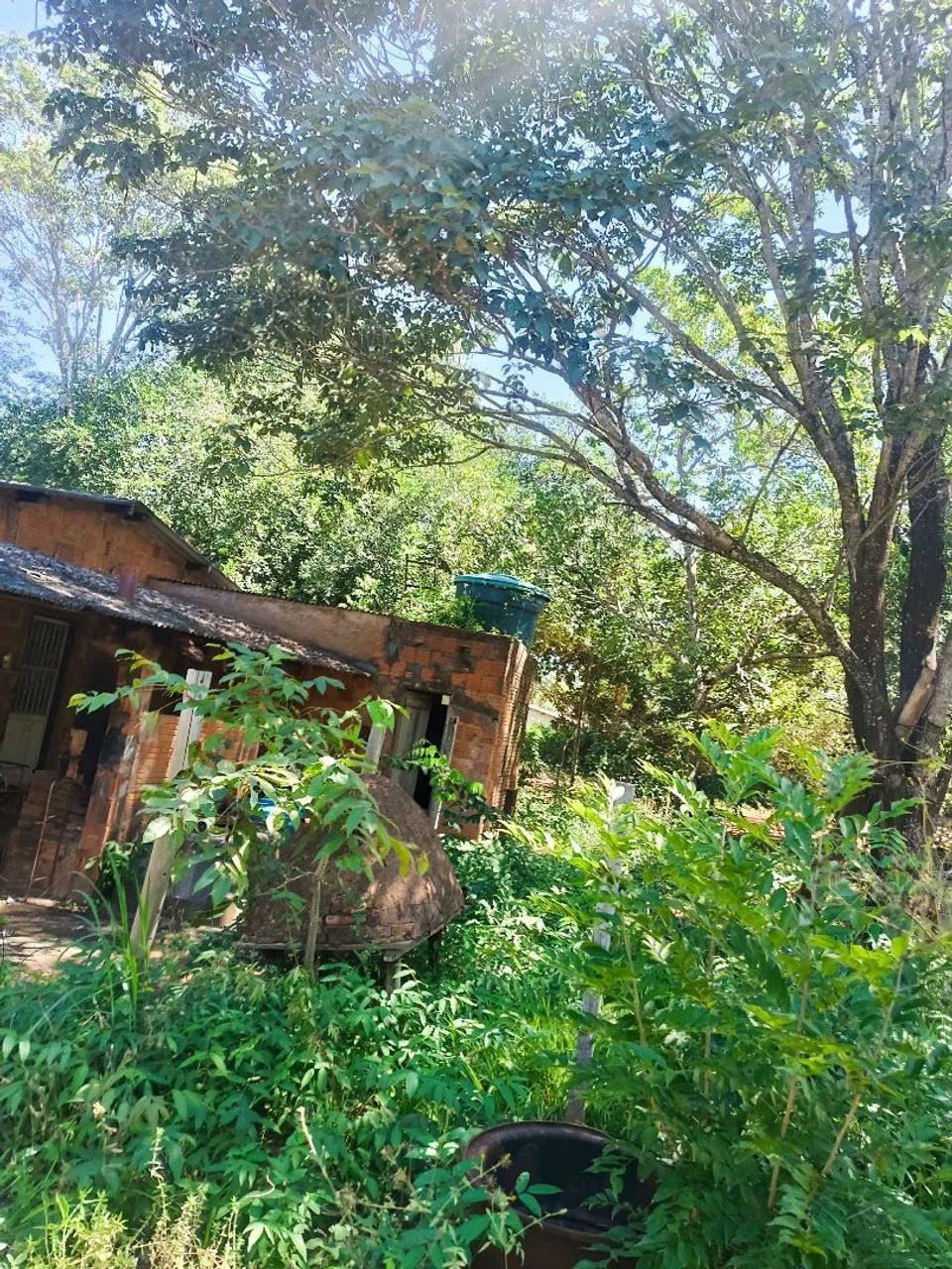 Chácara para lazer, morar ou passar final de semana. - Foto 3