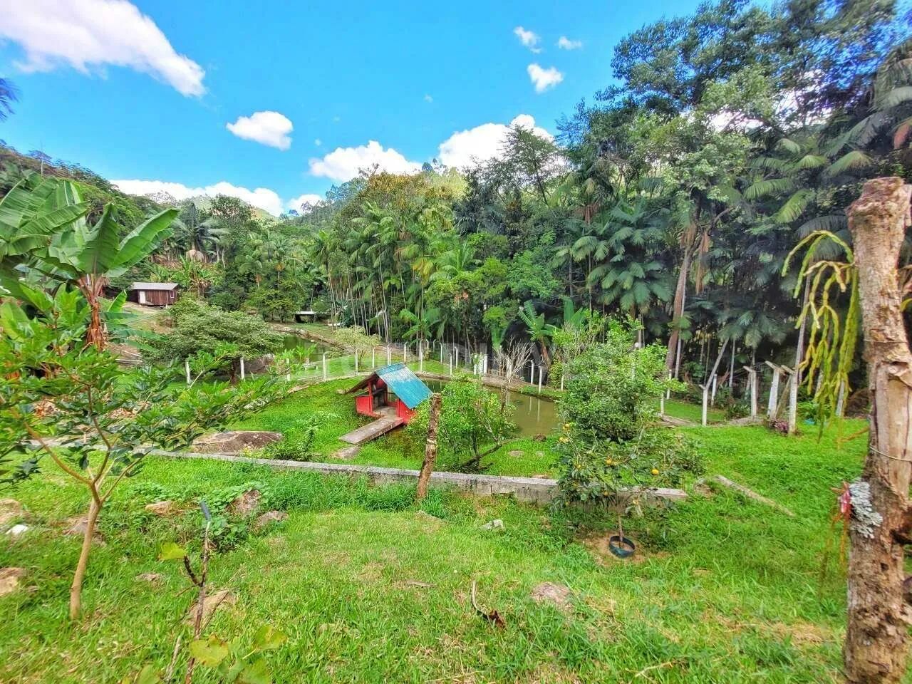 Sitio de alto padrão a venda em Nova Trento. - Foto 4