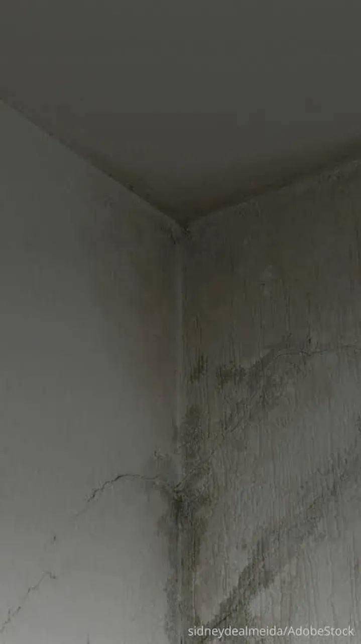 Concerto de goteiras e infiltrações  - Foto 4