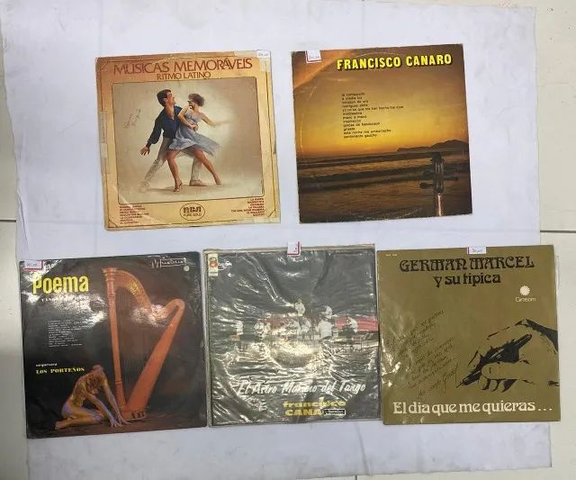 Combo 10 Vinil | Lote de LPs | Bom Estado