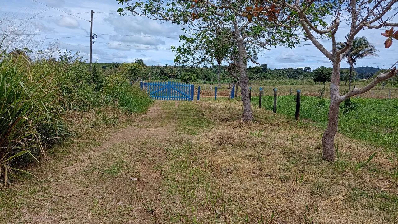 Chácara na p=2 - Foto 2