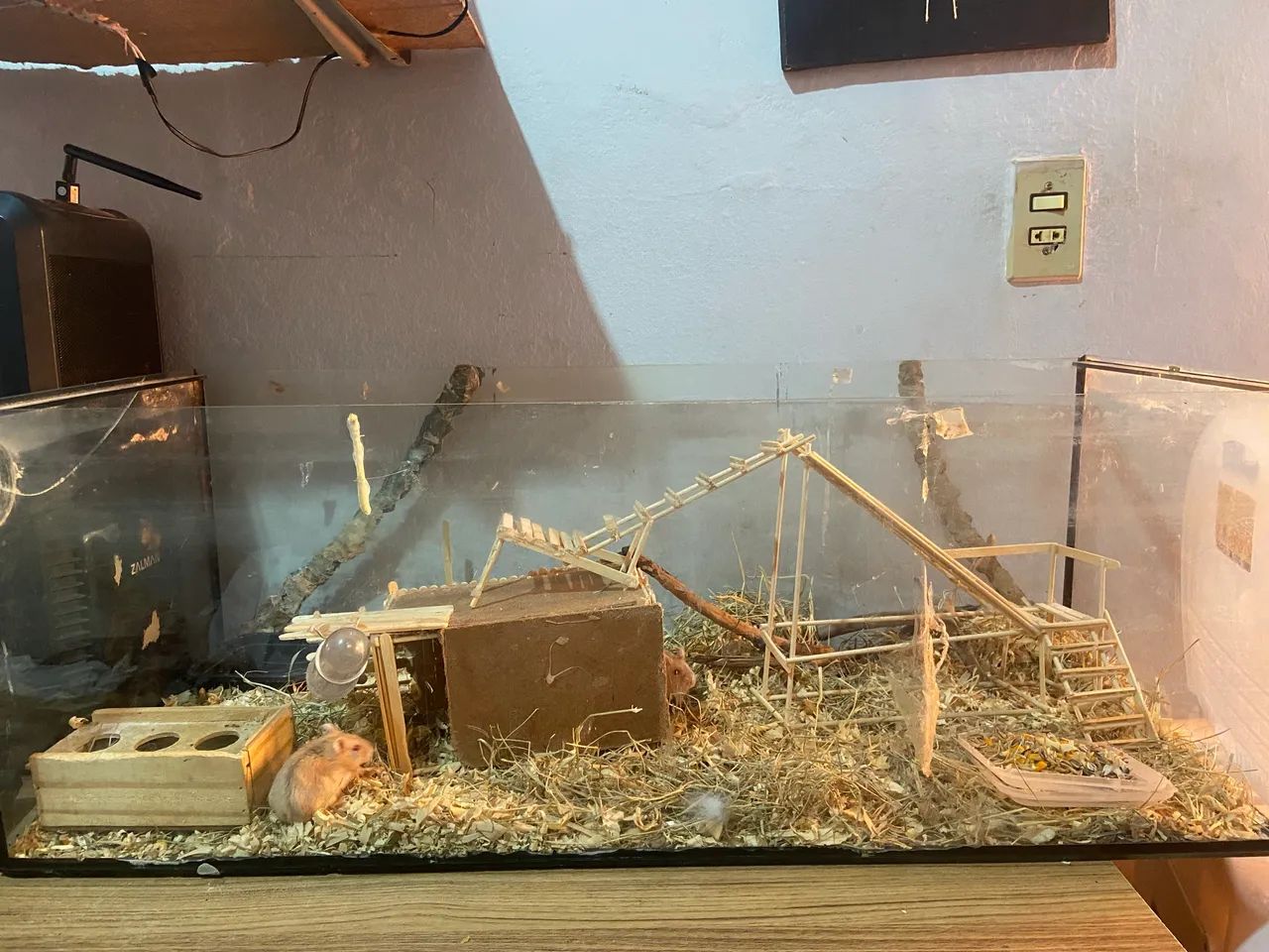 Hamsters com aquário  - Foto 5