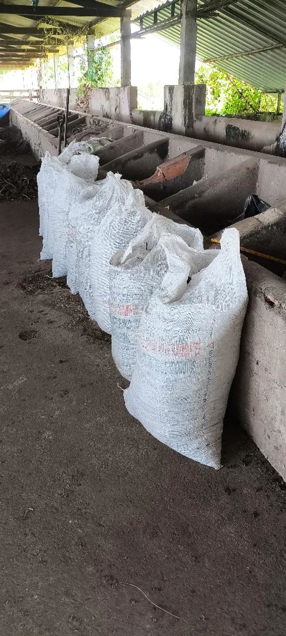 Esterco Bovino  - Foto 3