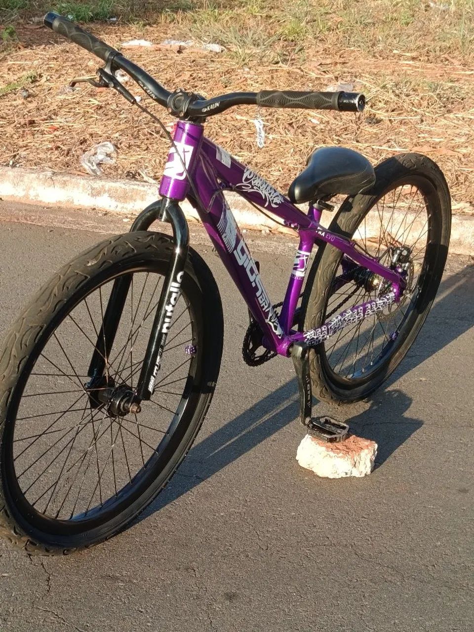 Gios evo  - Foto 4