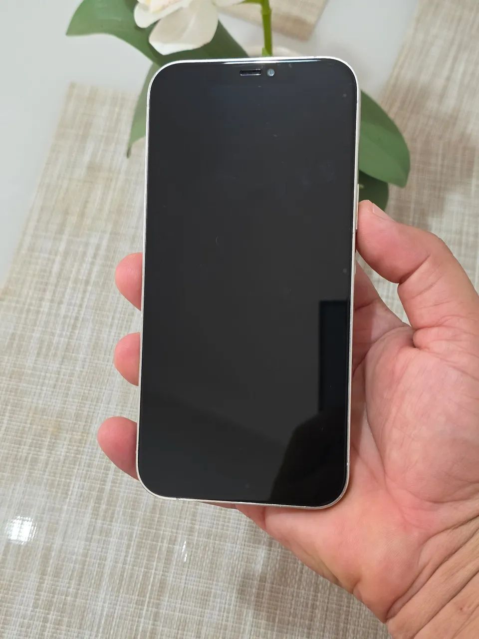 Iphone 12 Pro Max 128Gb - Celulares e Smartphones - Plano Diretor