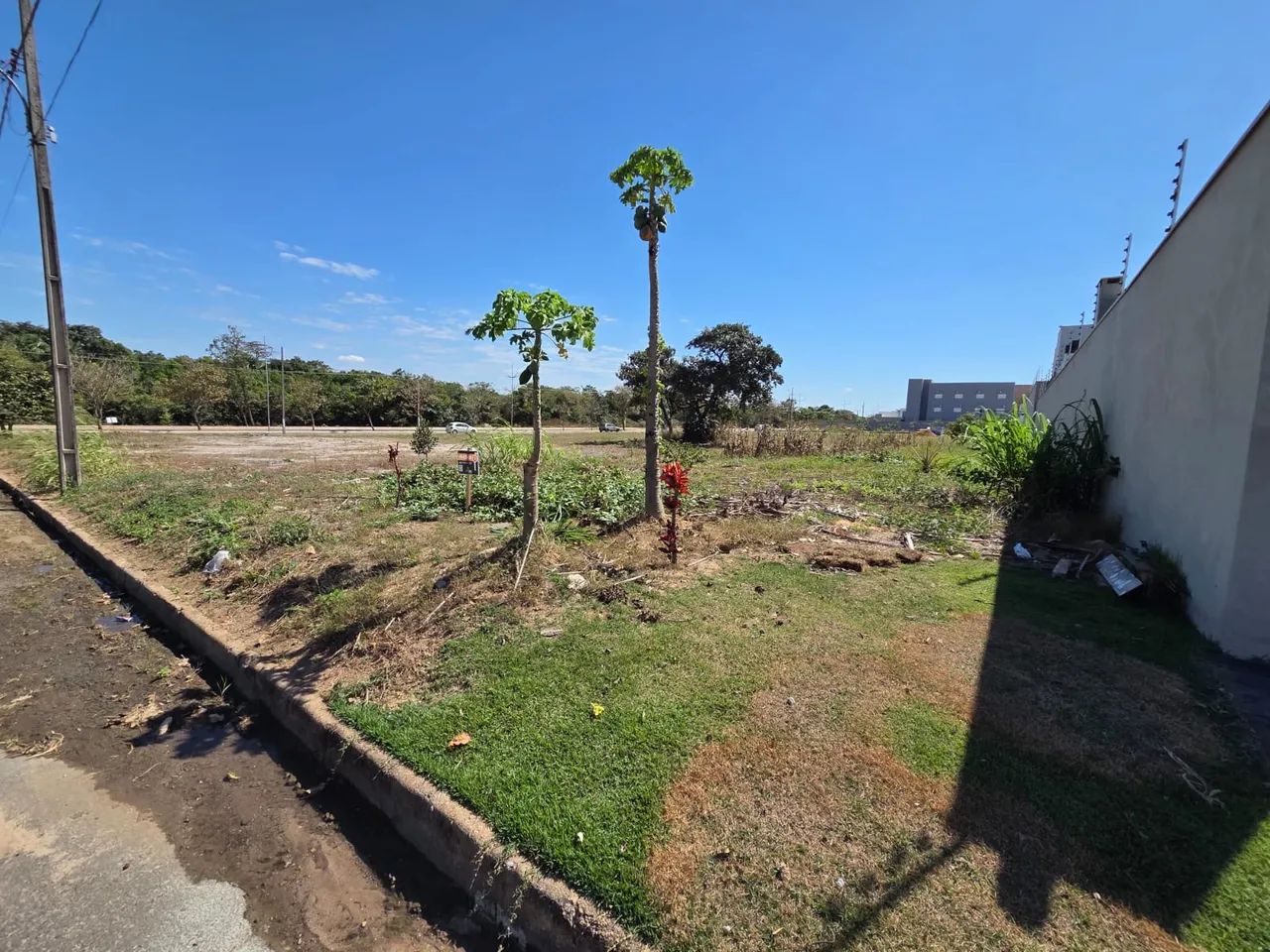 Terreno Jardim Riva próximo a avenida e a o centro - Foto 3