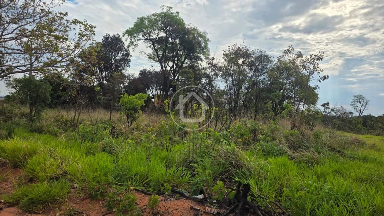 TERRENO - SEM ASFALTO - VIVENDAS DO PARQUE - Foto 2
