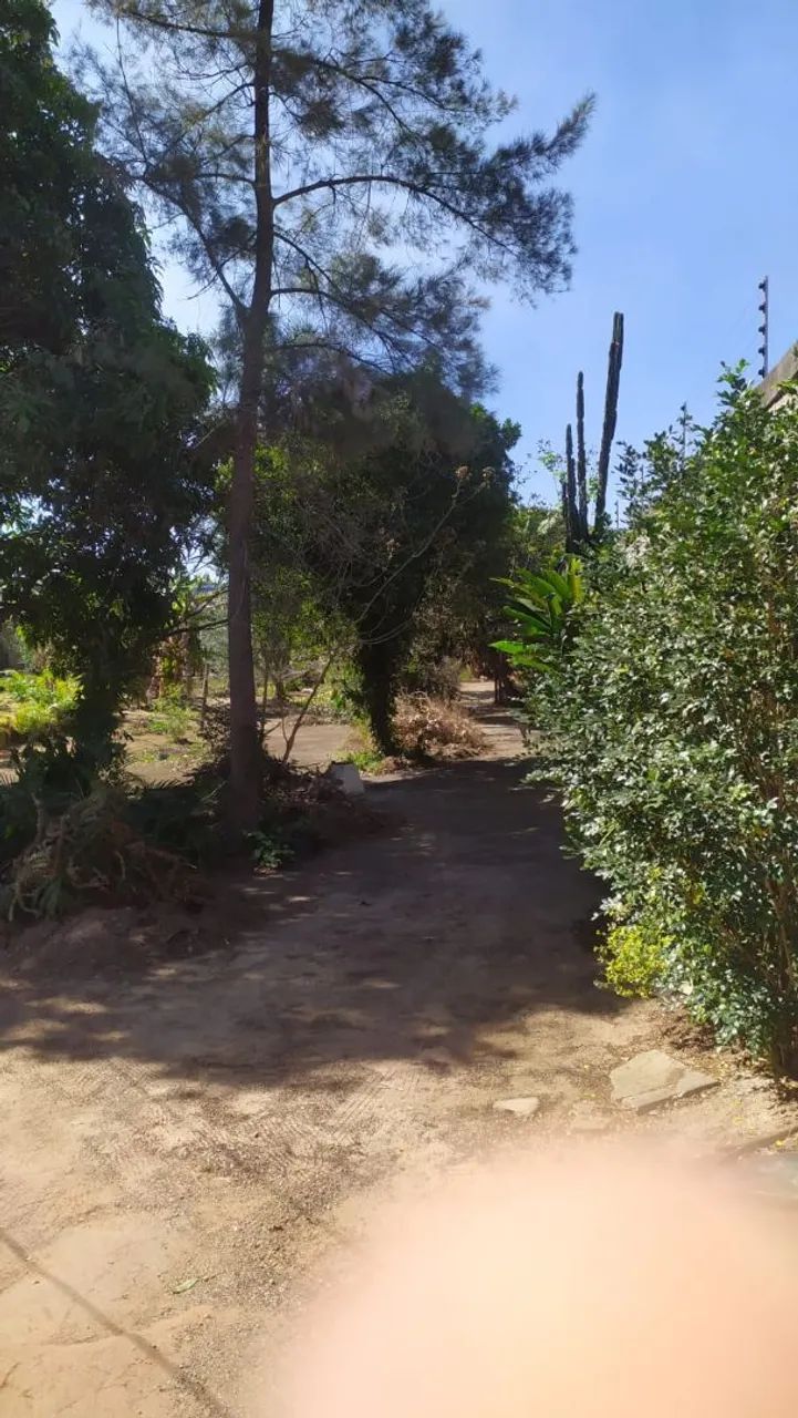 Chácara Parque São Luiz  - Foto 4