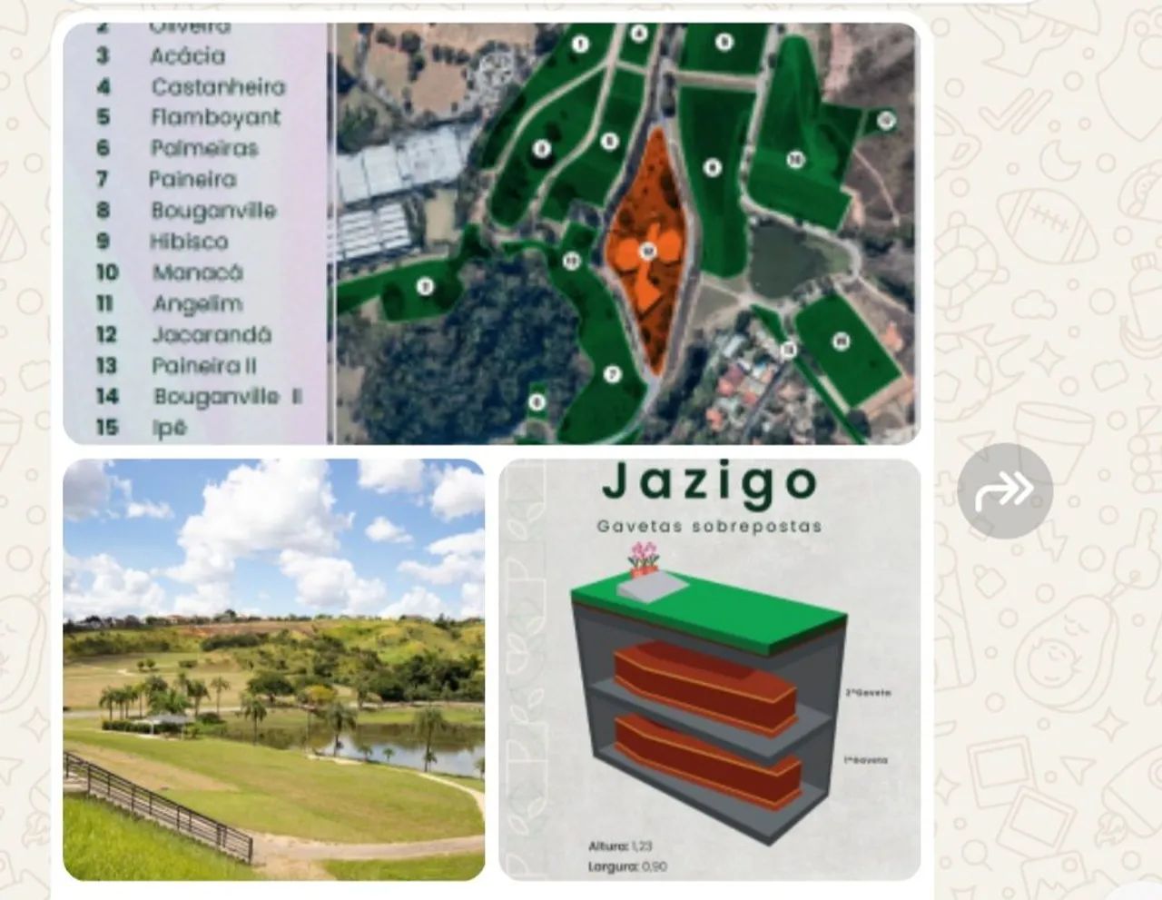 Vendo jazigo bosque da esperança 
