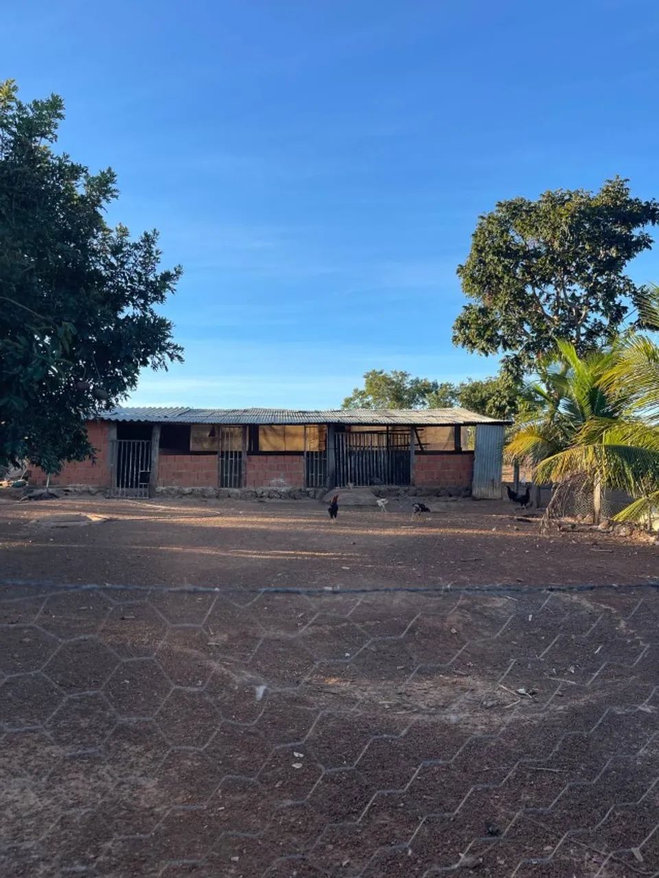 Sítio 30 Hectares Formado - Casa Ampla, Curral, Tanques de Peixe e Ótimo Acesso - Foto 6