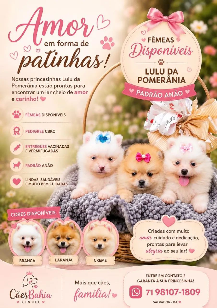 Lindos filhotes  - Foto 2