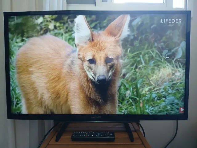 TV SONY 32 POLEGADAS TELA DE LED HD - Foto 4