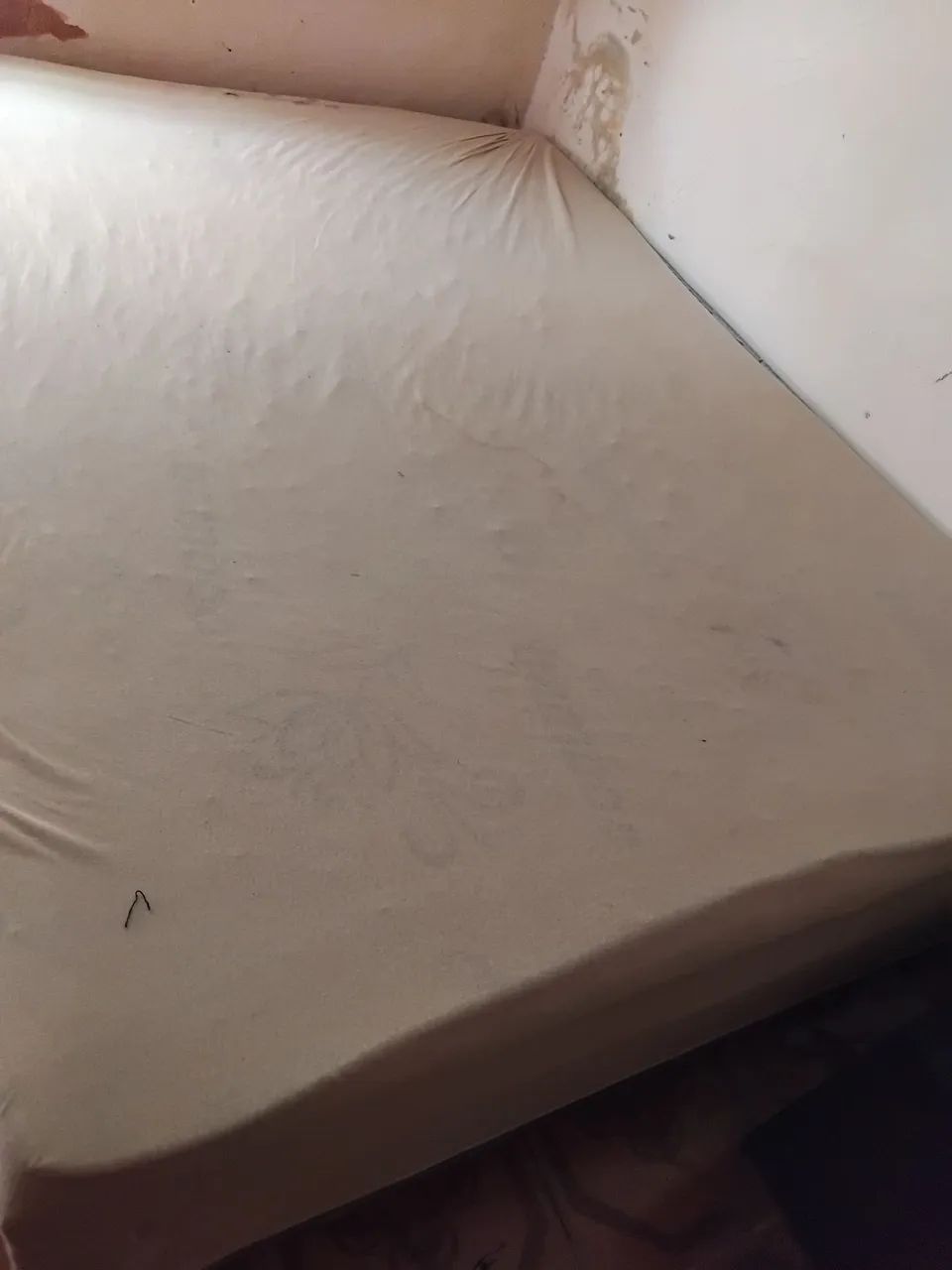 Cama
