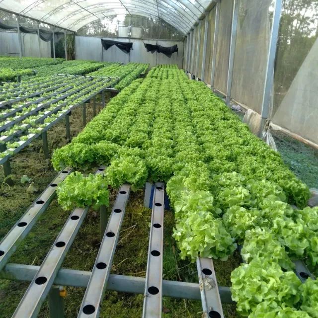 Estrutura hidropônica de hortaliças - Foto 2