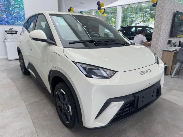 BYD Dolphin Mini (Elétrico) 2027 - Foto 3
