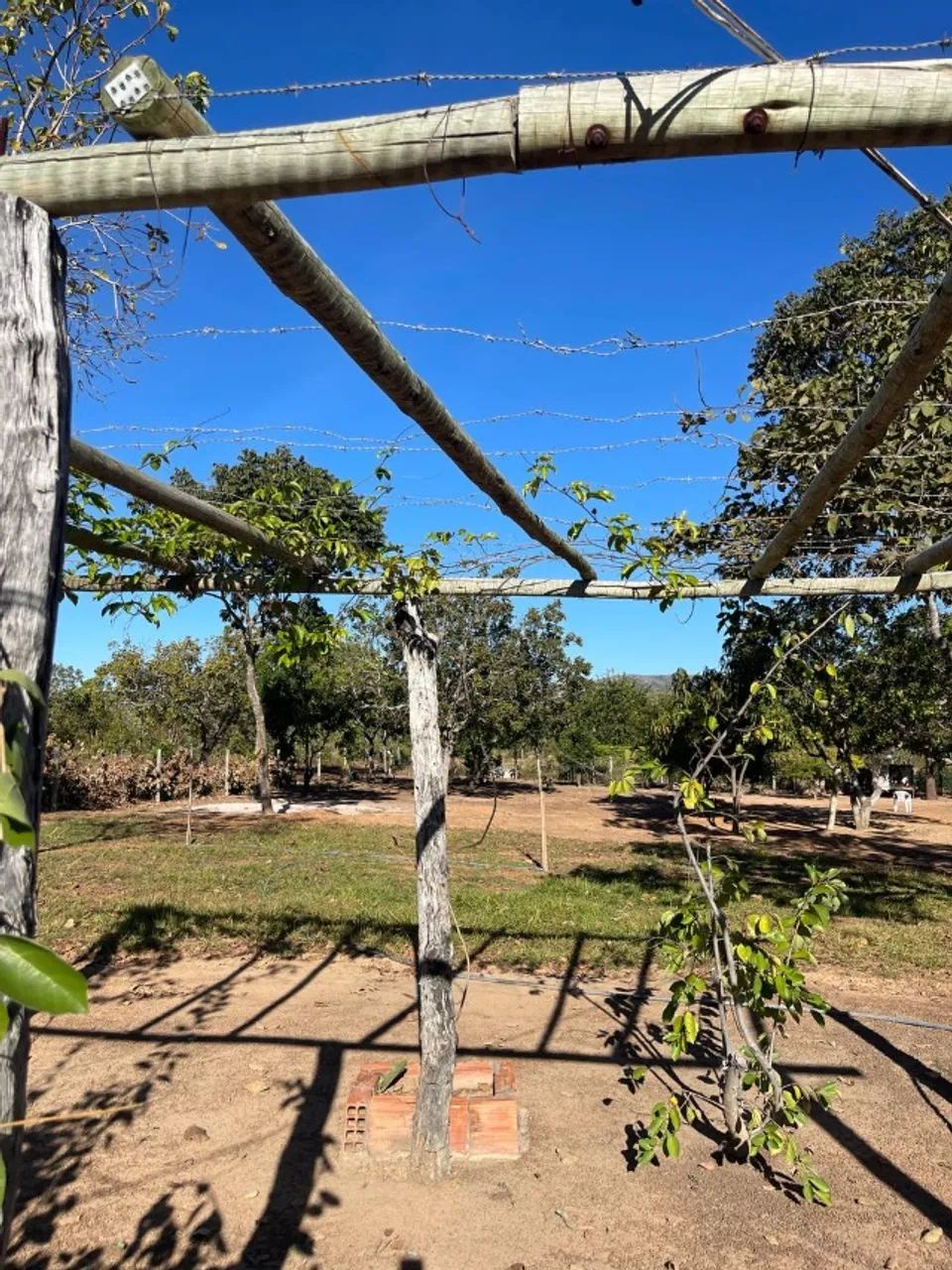 Sítio 30 Hectares Formado - Casa Ampla, Curral, Tanques de Peixe e Ótimo Acesso - Foto 13