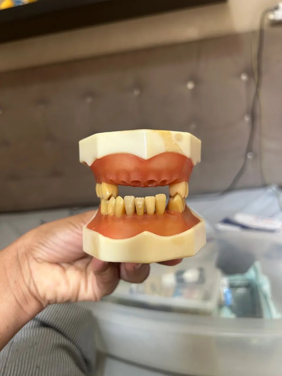 Refil manequim odontológico  - Foto 3